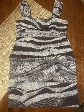 BCBGMaxAzria Fun Brown and White Zebra-Stripe Sleeveless Mini Dress Size Medium
